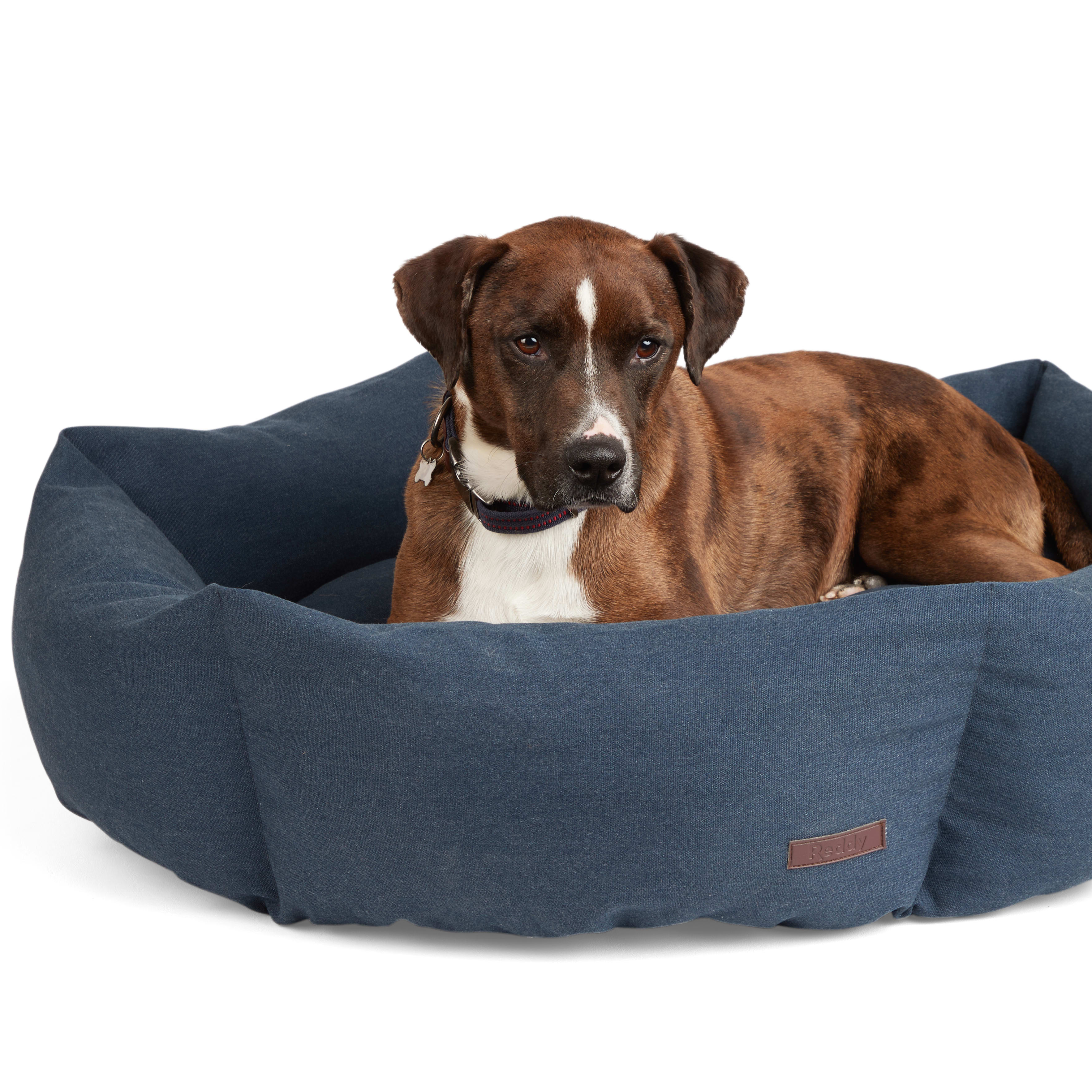 Reddy Primaloft Dog Bed， 22