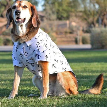 Doggie Design Anchors Aweigh Hawaiian Camp Shirt andndash; Pet Empire and Supplies