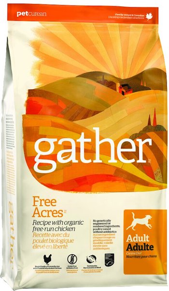 Gather Free Acres Organic Free-Run Chicken Dry Dog Food