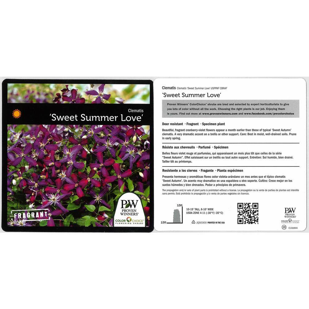 PROVEN WINNERS 1 Gal. Sweet Summer Love (Clematis) Live Shrub Red-Purple Flowers CLMPRC2016101