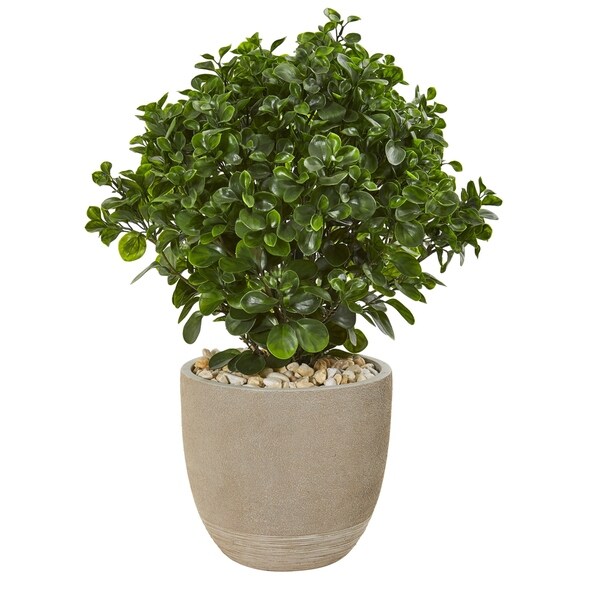 30 Peperomia Artificial Plant in Sand Stone Planter UV Resistant (Indoor/Outdoor)