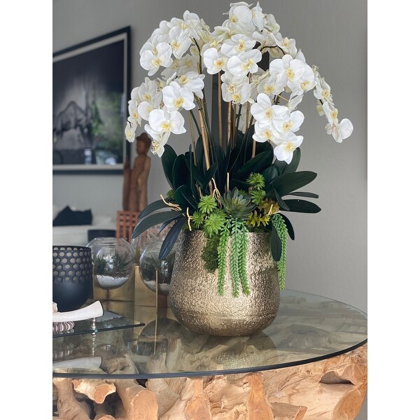 Delany Gold Pot With Multiple Stems Of Phalaenopsis Orchids And Succulents