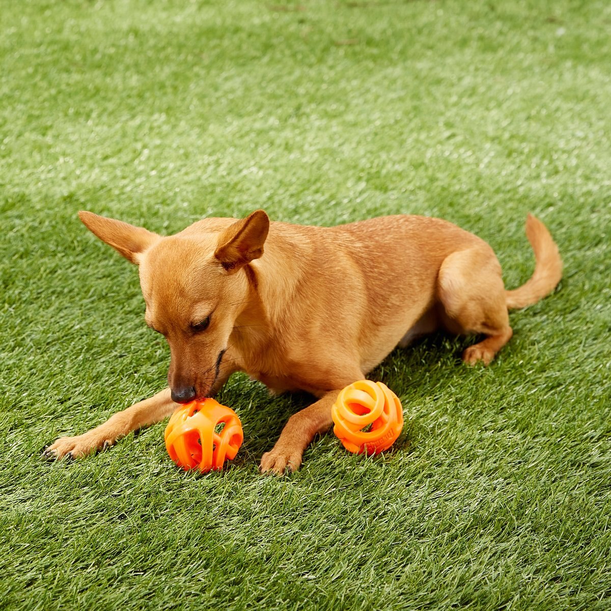 Chuckit! Air Fetch Ball 2-Pack Dog Toy