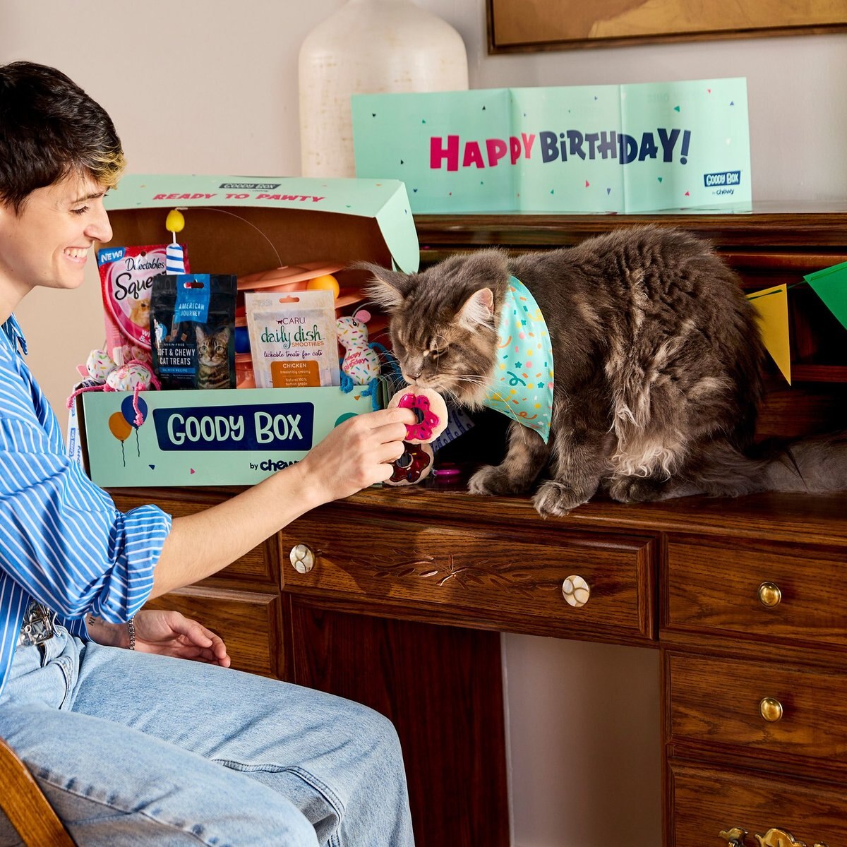 Goody Box Birthday Cat Toys， Treats and Collar