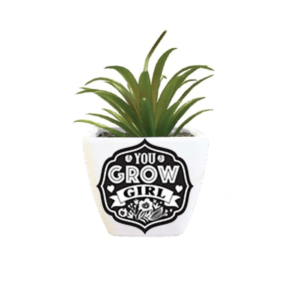 H & H Gifts  Succulent - You Grow Girl