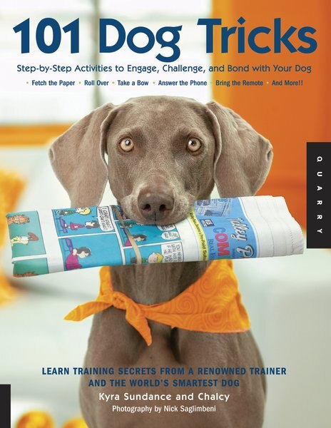 101 Dog Tricks: Step-by-Step Activities to Engage， Challenge， and Bond with Your Dog