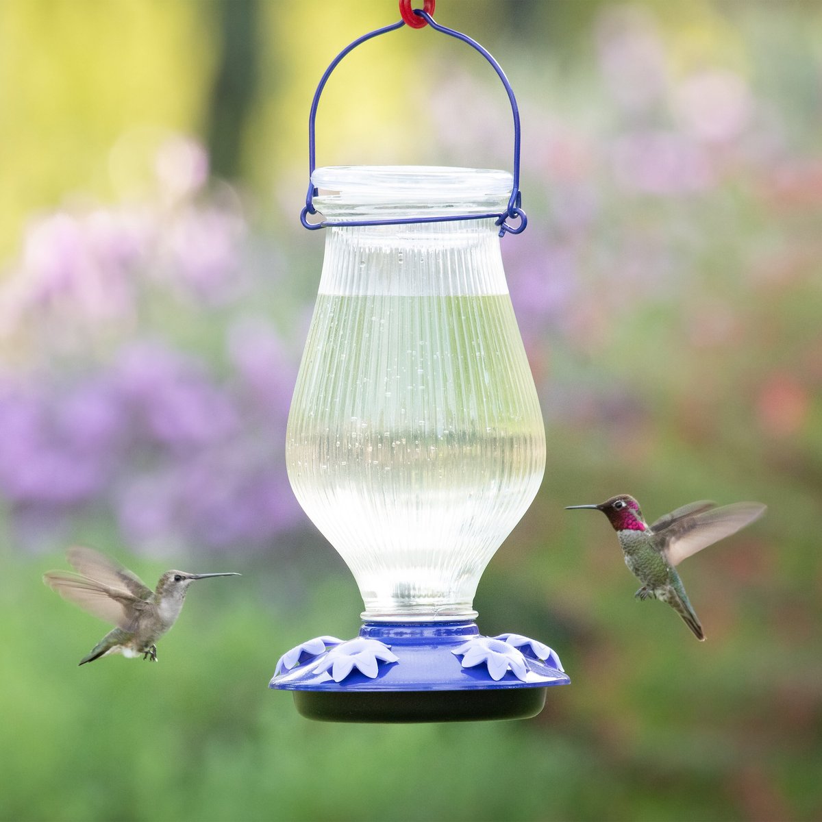 Perky-Pet Oasis Top-Fill Glass Hummingbird Feeder