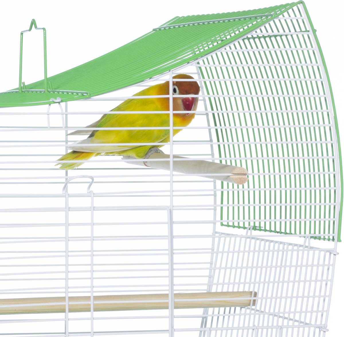 Prevue Pet Products Southbeach Wave Top Bird Cage