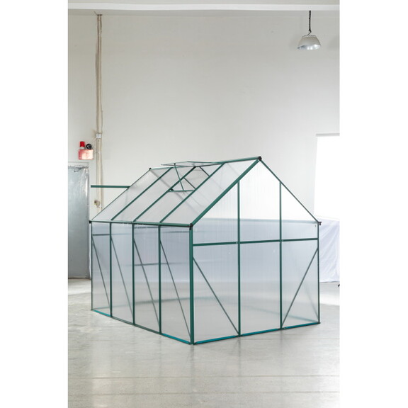 Green 6 x 8 FT Outdoor Patio Greenhouse W540S00004