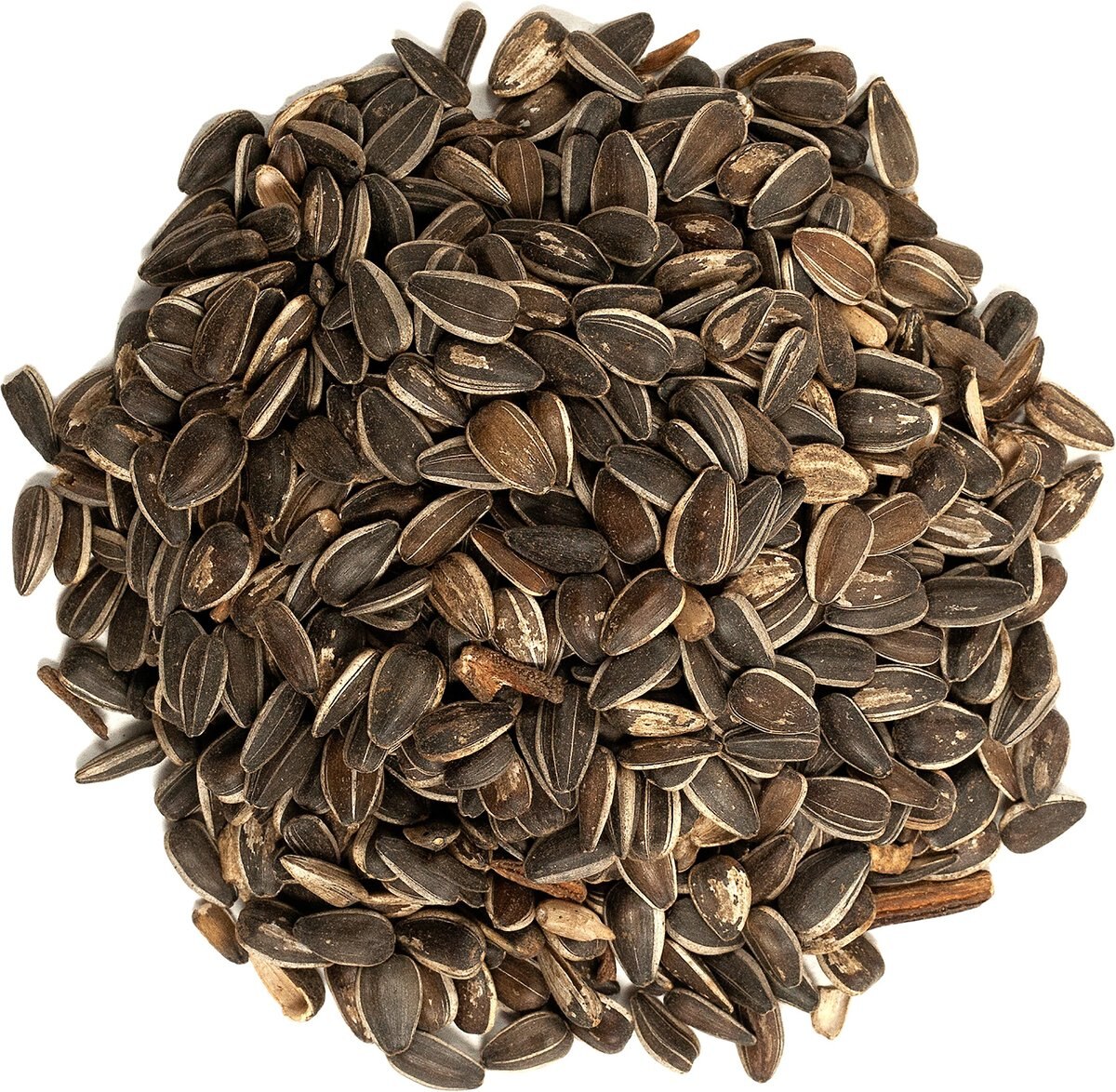 Wagner's 100% Striped Sunflower Seed Wild Bird Food