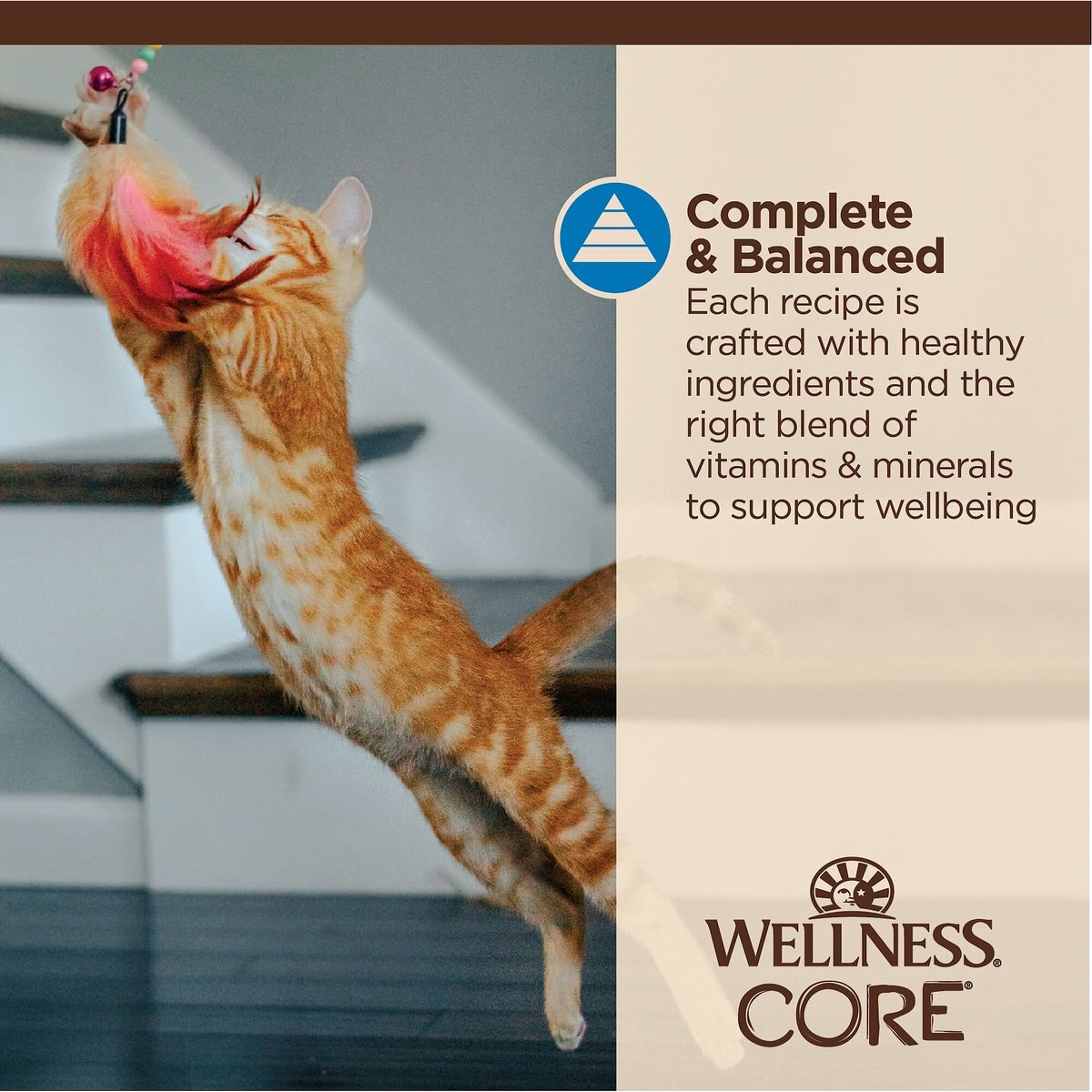 Wellness CORE Tiny Tasters Tuna and Shrimp Grain-Free Flaked Wet Cat Food， 1.75-oz pouch， case of 12