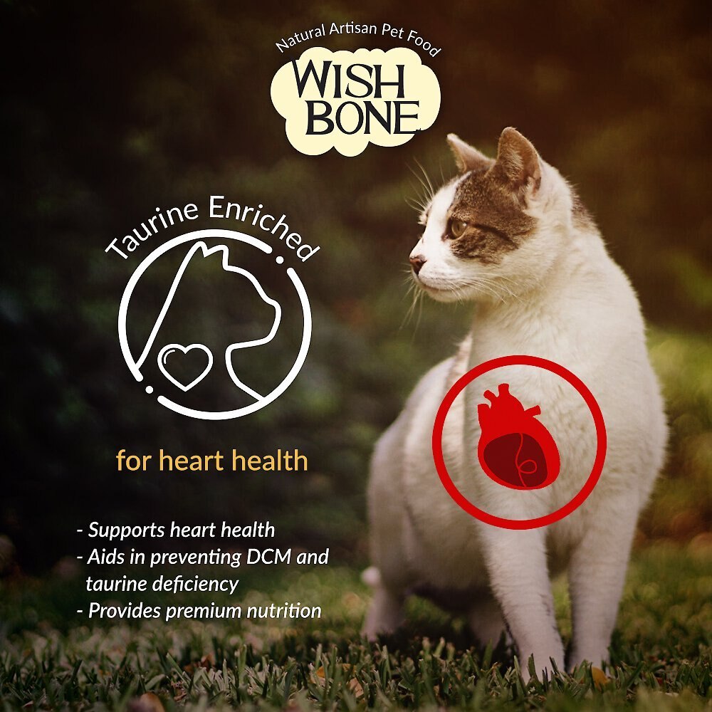 Wishbone Pasture Grain-Free Dry Cat Food