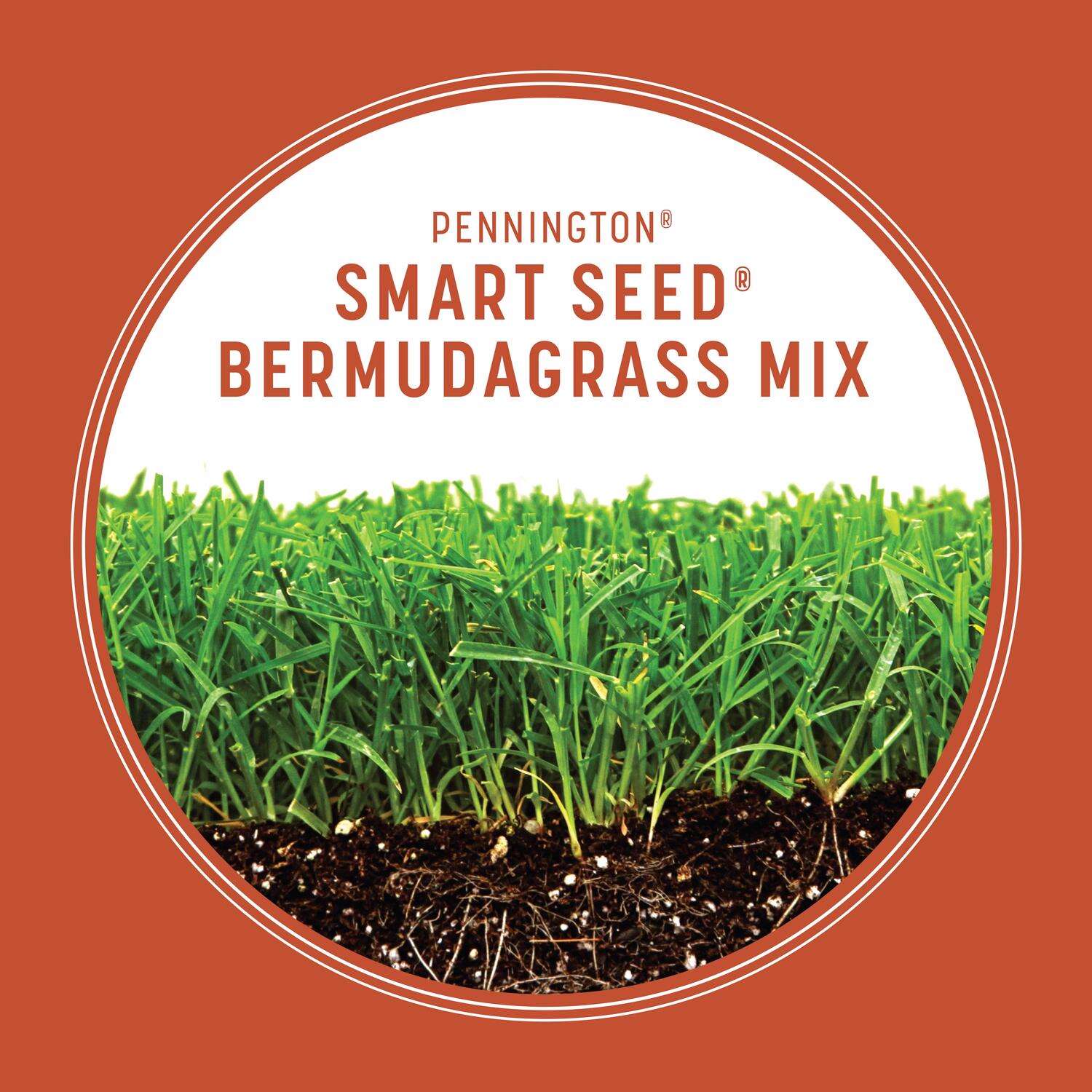 Pennington Smart Seed Bermuda Grass Full Sun Grass Seed and Fertilizer 1.75 lb