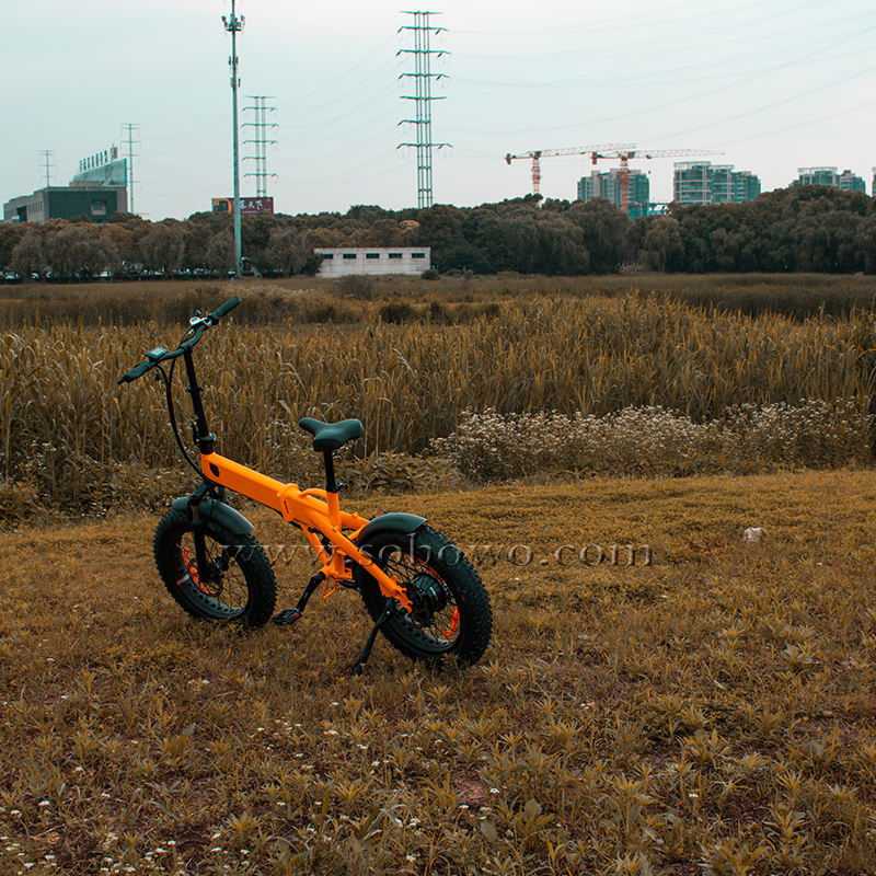 customized aluminum electric cycle 2 seater city e bikes 48 volt 500 watts folding ebike 20 inch fat tire electric bike