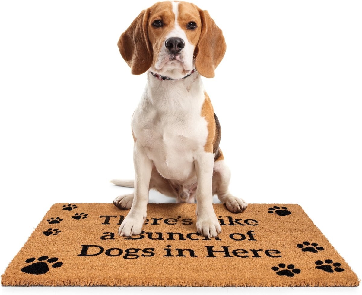 BirdRock Home Bunch of Dogs' Coir Doormat