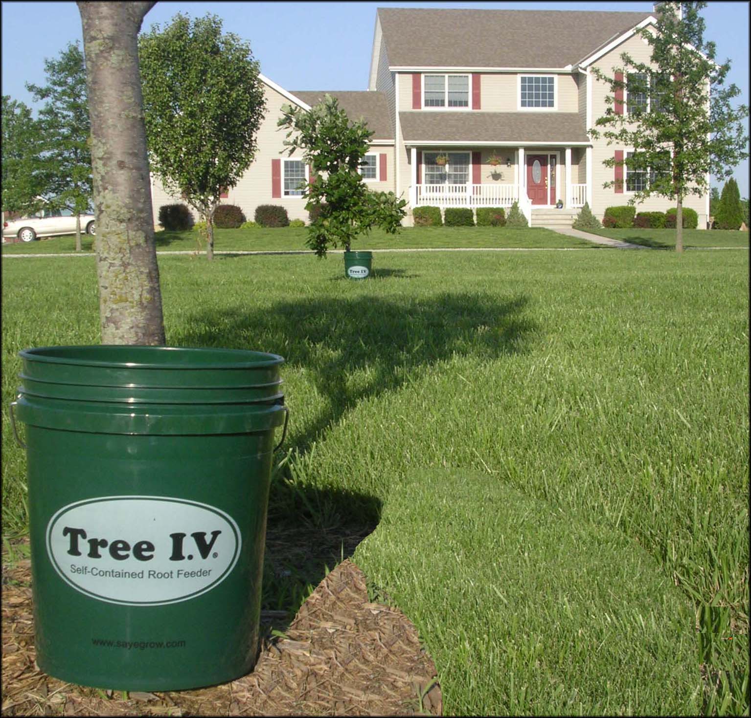 Tree I-V Root Feeder 5-Gallon Natural Drain | Kid-Friendly | 6-pk