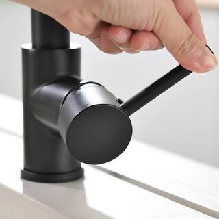 Single Handle Gooseneck Pull Down Sprayer Kitchen Faucet with Dual Function Sprayhead in Matte Black MD-AL125533B