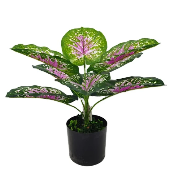 YD8735 4 Wholesale promotion Caladium bicolor (Ait.) Vent. ornamental foliage artificial plants bonsai