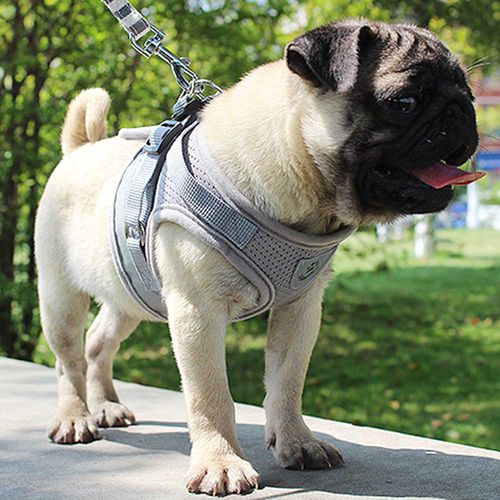 SHIYAO Nylon Dog Vest Harness Patches Reflective Small Large Medium Excellent(Black-L)