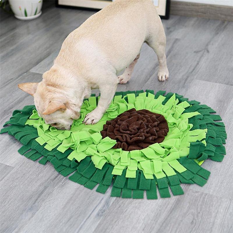 Avocado dog sniffing mat