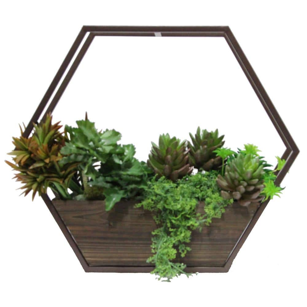 ADMIRED BY NATURE Hexagon Wood and Metal Framing Wall Hanging Planters with Hard Liners ABN5E067-BR