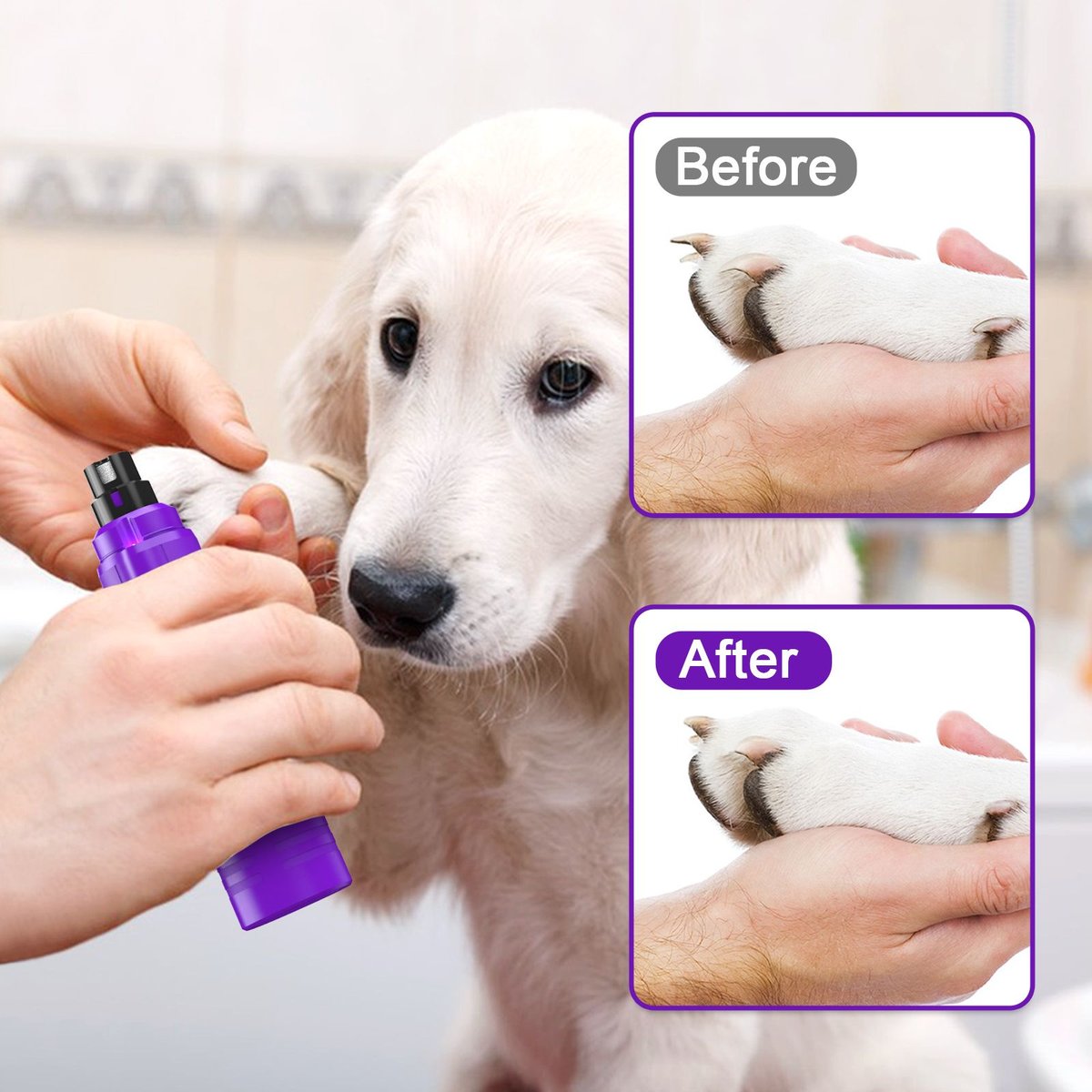 Casfuy 2-Speed Electric Dog Nail Grinder with LED Light， Purple