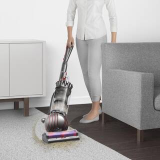  Ball Animal 3-Upright Vacuum Cleaner 405866-01