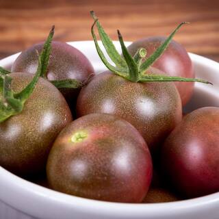 Bonnie Plants 19 oz. Black Cherry Tomato Plant 0211