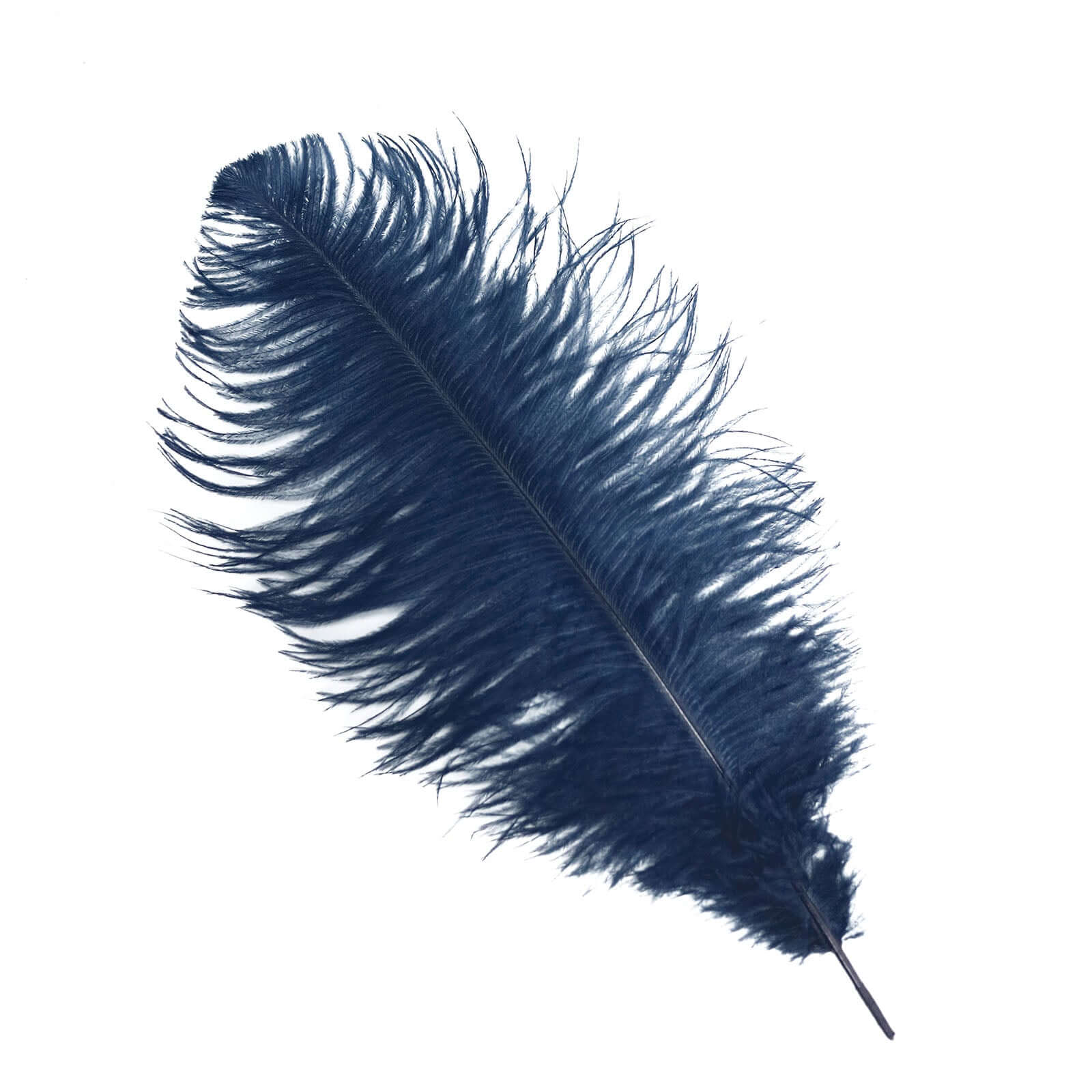 12 Pack Navy Blue Natural Plume Real Ostrich Feathers, DIY Centerpiece Fillers 13