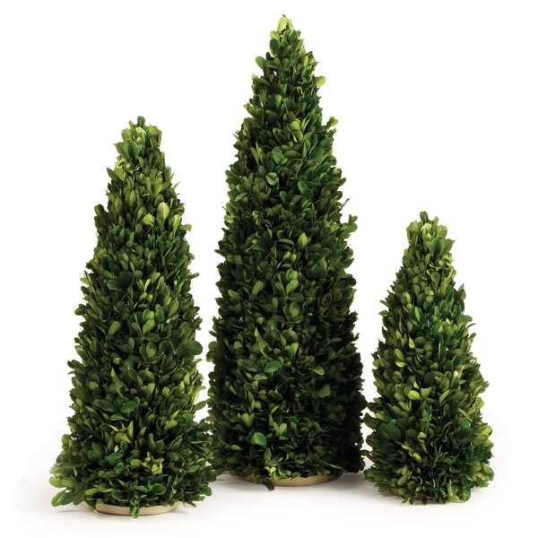 Boxwood Mini Trees，Set Of 3