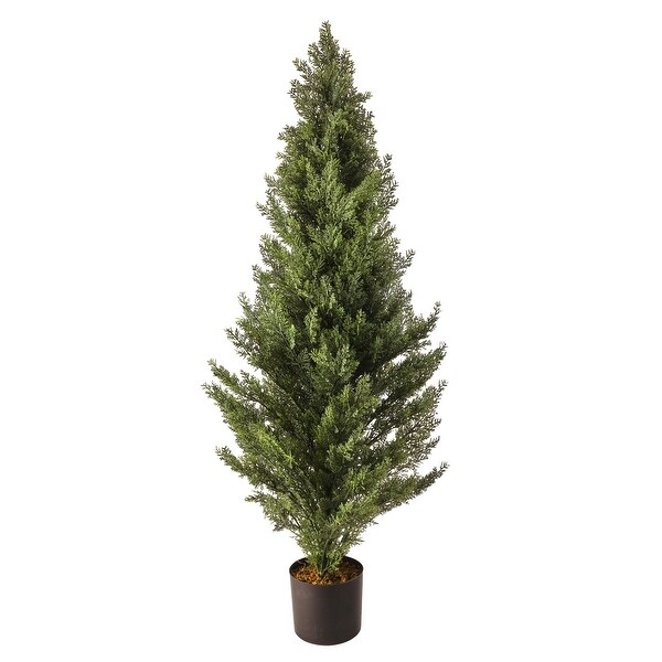 48 Uv Potted Arborvitae Tree