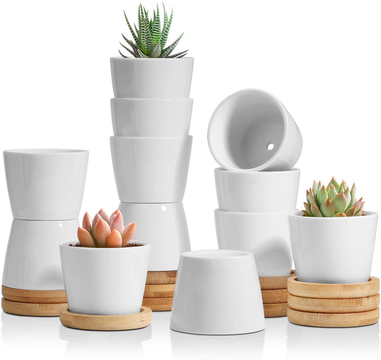 T4U 2.5 inches Small White Succulent Plant Pots Ceramic Succulent Planters with Bamboo Trays, Round, Set of 12