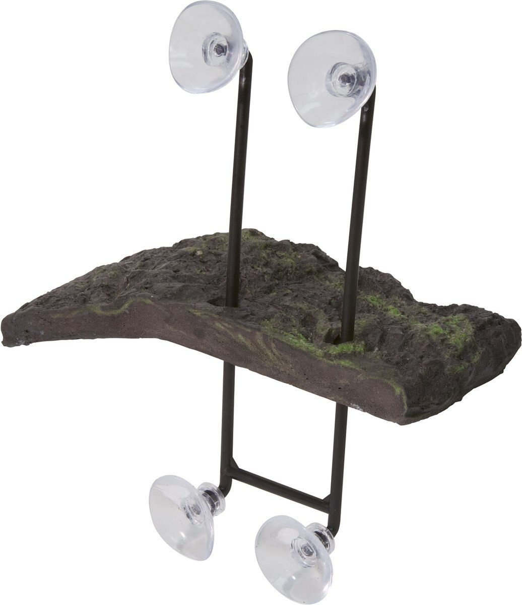 Zoo Med Mini Floating Dock