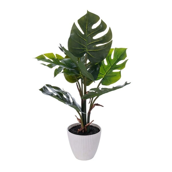 Vickerman 18 Green Monstera Plant x7 in White Pot.