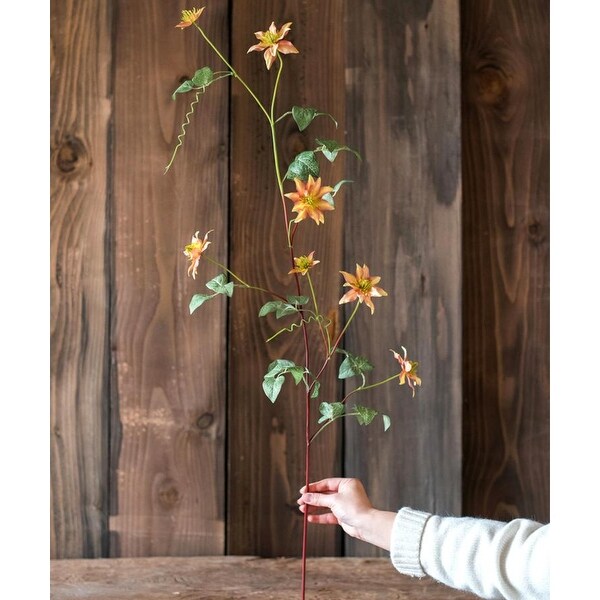 RusticReach German Clematis Flower Stem in Orange 40 Tall