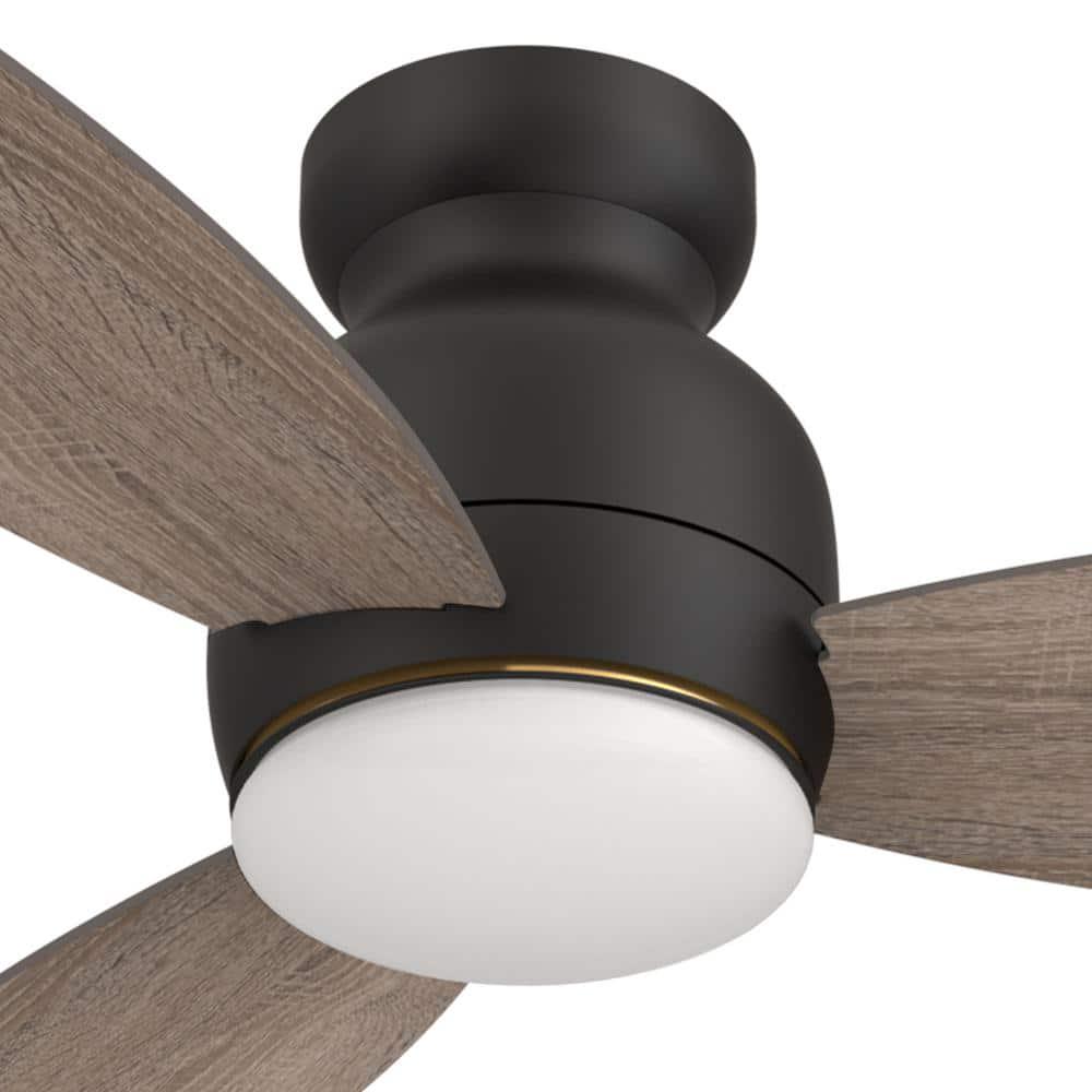 CARRO Trendsetter 52 in Dimmable LED IndoorOutdoor Black Smart Ceiling Fan with Light and Remote Works wAlexaGoogle Home