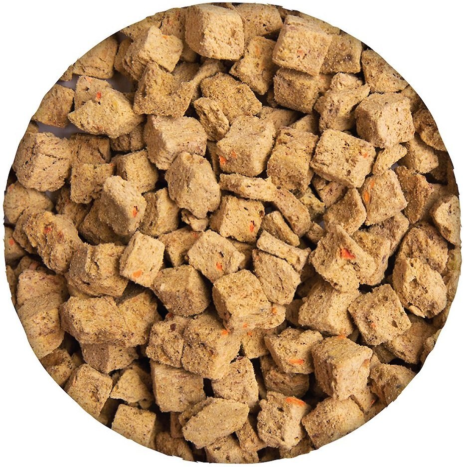 Health Extension Super Bites Salmon Recipe Freeze-Dried Raw Dog Food Mixer