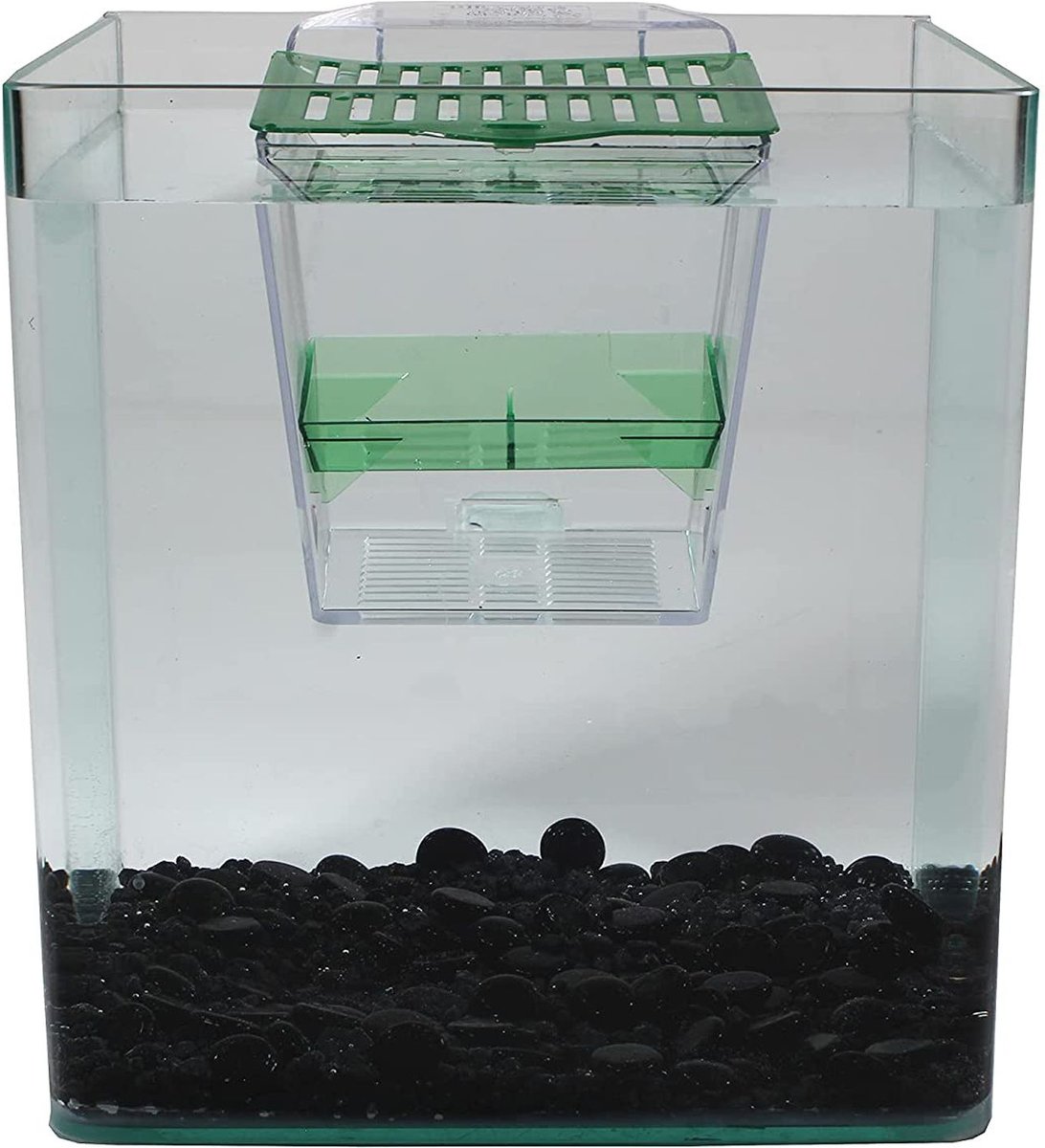 Penn-Plax Breed ‘n’ Show Plastic Tank