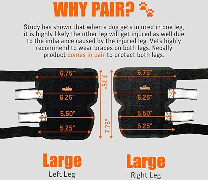 NeoAlly 3-in-1 Long Rear Leg Support Dog Splint Braces