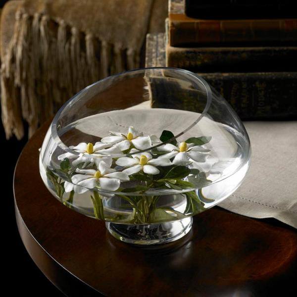 Vigoro 2 Gal. Echo Heaven Scent Gardenia Live Evergreen Shrub Boxwood-Like Dense Small Leaves White Fragrant Blooms 11013