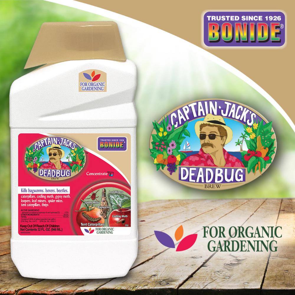 Bonide Captain Jack's Deadbug Brew 32 oz Concentrate Outdoor Insecticide and Mite Killer for Organic Gardening 253