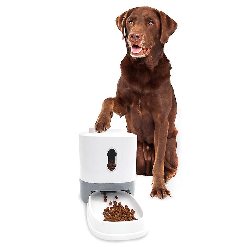 Automatic Dog Feeder Interactive Auto Pet Dry Food Dispense