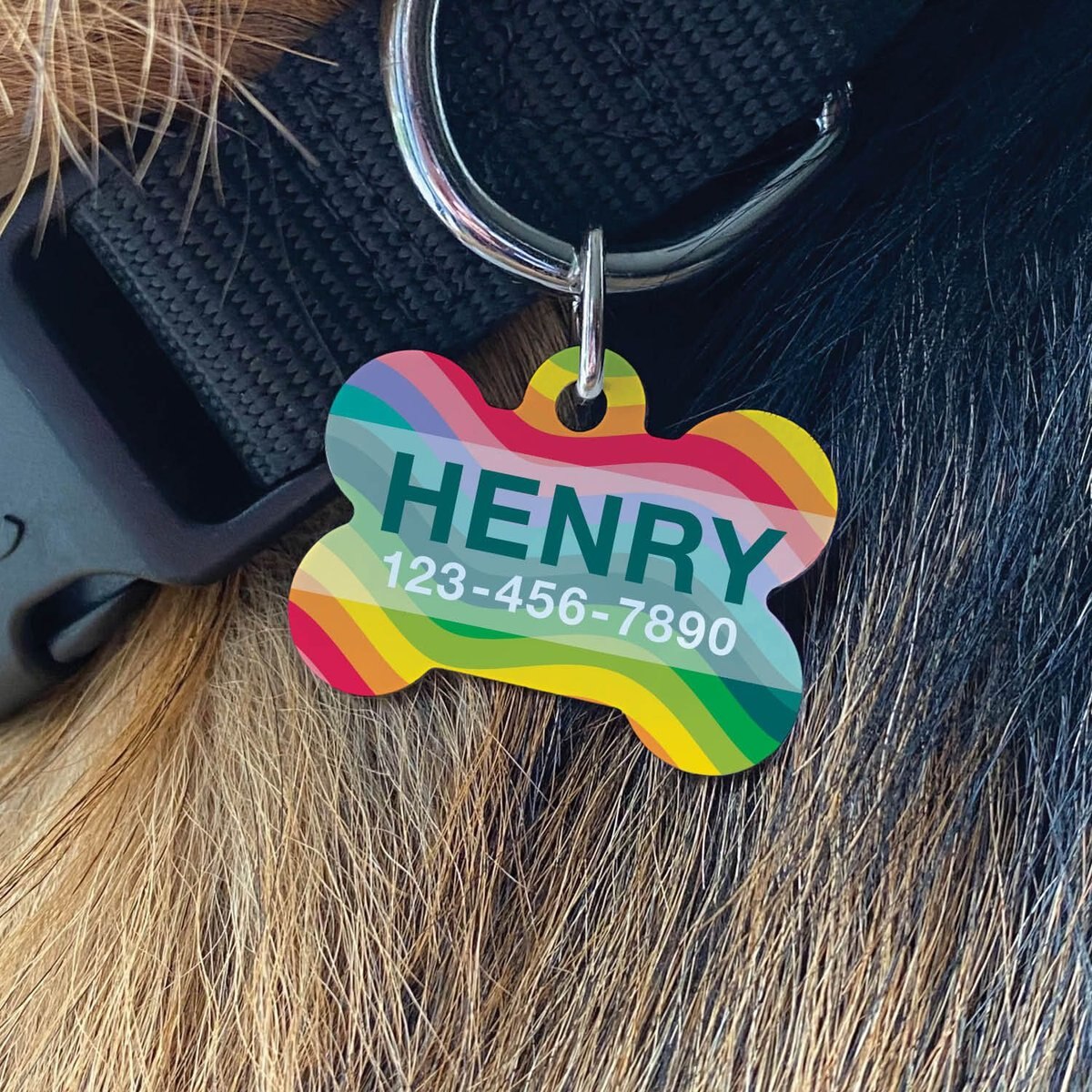 Custom Personalization Solutions Rainbow Wave Personalized Pet Tag