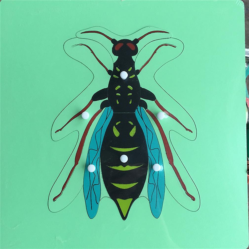 Jigsaw Puzzle Game Wooden Fly For Kids