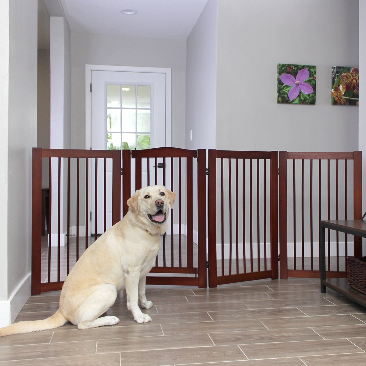 Primetime Petz 360 Configurable Gate with Door