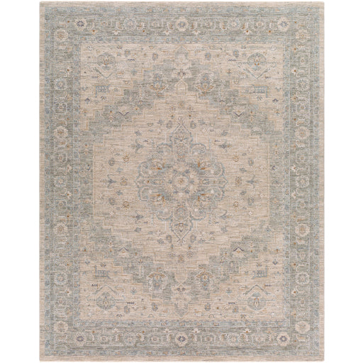 Avant Garde Traditional Light Gray Rug