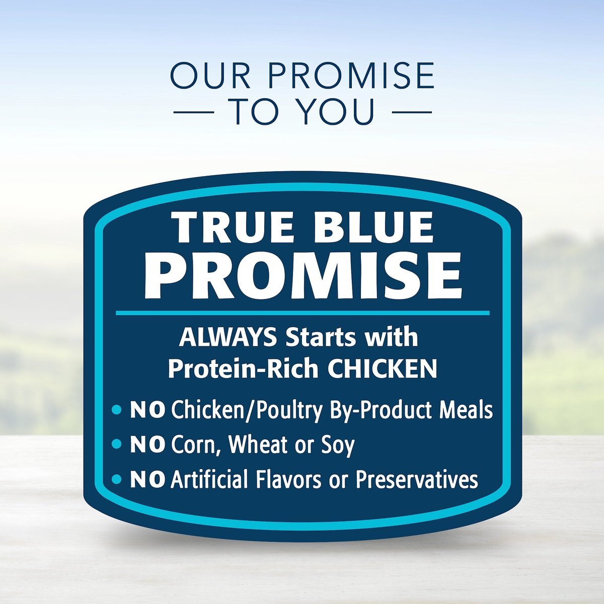 Blue Buffalo Blue's Country Chicken Stew Grain-Free Canned Dog Food