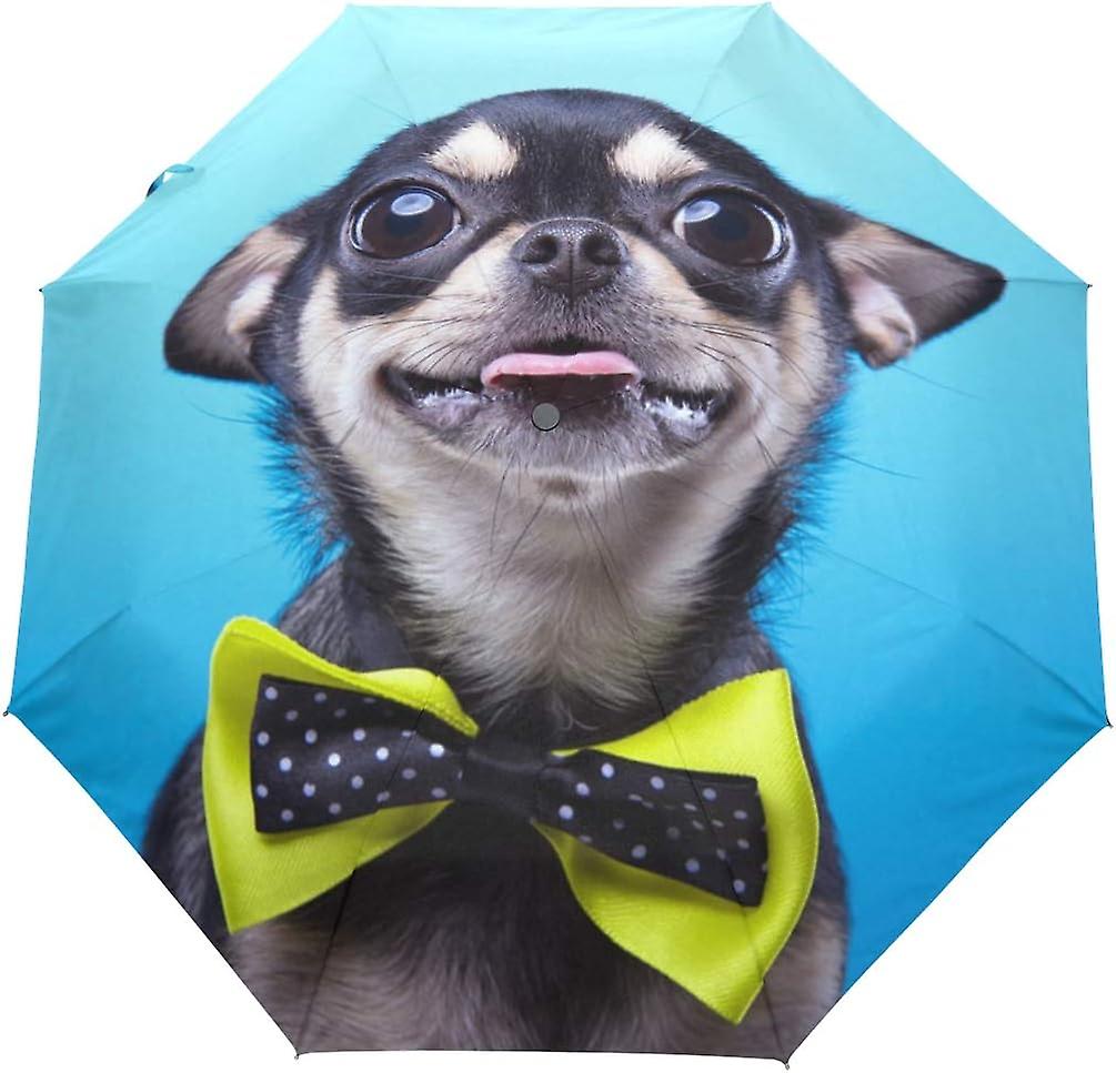 Travel Umbrella Automatic Windproof Foldable Umbrella Beautiful Chihuahua With Big Eyes