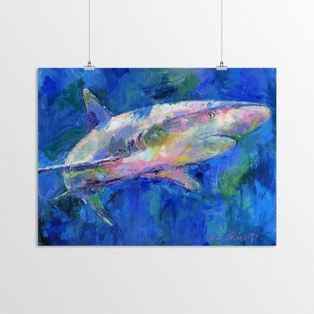 Americanflat Modern Animal Shark By Richard Wallich Poster