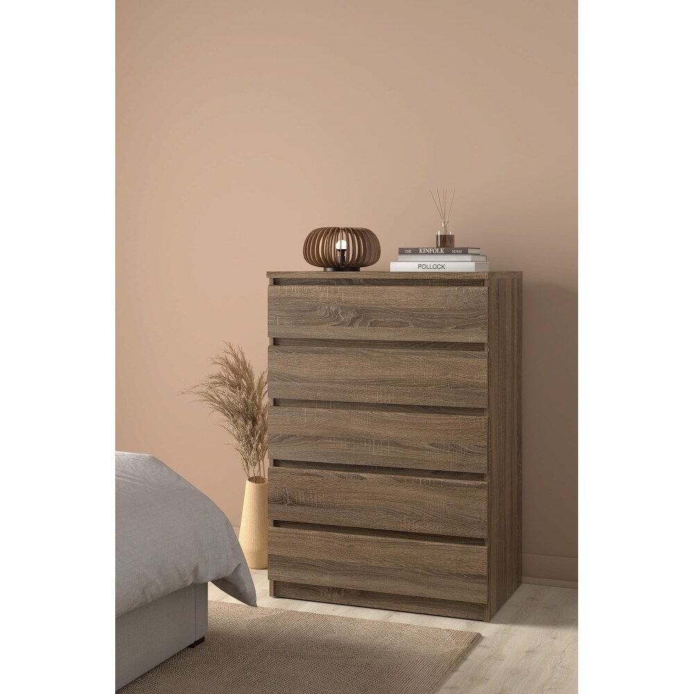 Porch   Den McKellingon 5 drawer Chest